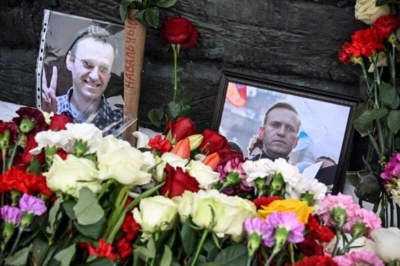 Кремль прокомментировал сообщения об обсуждении обмена Навального на осужденного в Германии россиянина Красикова